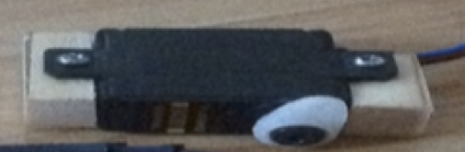 Dorado131