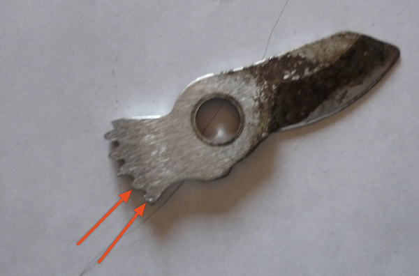 FISHTEC_1070891